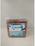 Gammarus 1,2 L