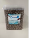 Meelwormen 2,5 L