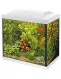 Tropical Start 50 kit Wit aquarium