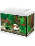 Superfish aquarium start 20 goldfish kit Wit