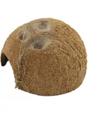 Ceramic Nature Halve Kokosnoot