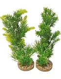 Sydeco aquaplant medium 20cm